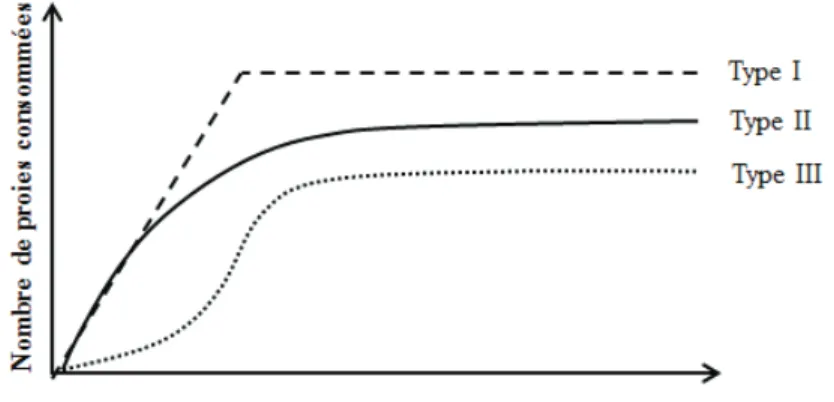 Fig. 1. Représentation schématique des trois principaux types de réponse fonctionnelle  (i.e