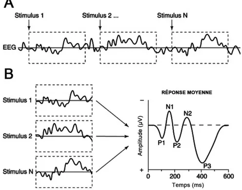 Figure 2.6 : Potentiel évoqué. La réponse électrophysiologique associée à un événement n'est  pas  visible  sur  le  signal  brut  (A),  mais  la  moyenne  des  stimuli  individuels  (B)  permet  d'identifier un PE, qui est composé d'une succession de dévi