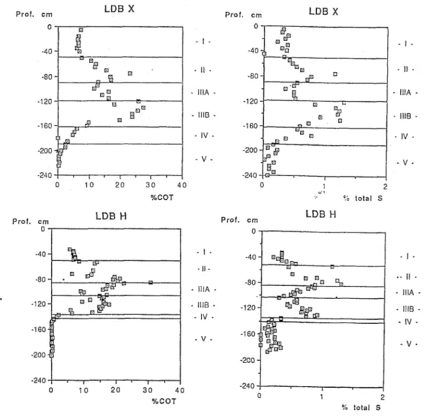 FIG.  S.  -  Corirpnrison  betweerr  TOC  ruid  total  S  co/rfeirts  (  %)  of  bulk  sedittient  in  LDB  X  arid  LDB  H  cores