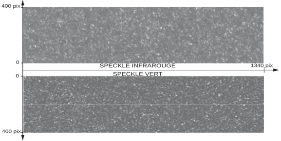 Fig. 2.7 – L’image du haut correspond au speckle enregistr´ e en infrarouge, l’image du bas correspond au speckle en vert.