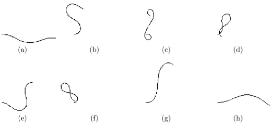Figure 3.3: Example DLO shapes generated from the simulator