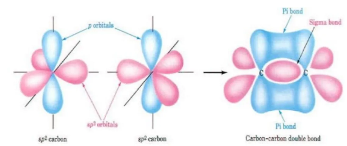 Figure 2.5 – Repr´ esentation graphique de la double liaison entre deux atomes de carbone hybrid´ es sp 2 dans le CNT (Source : S