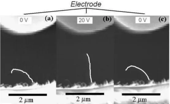 Figure 2.9 – d´ eflexion r´ eversible d’un CNT induite par un champ ´ electrique. (Source : Ref.