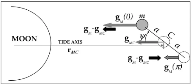 Figure 2. Tidal accelerations acting at the pendulum frequency (the vector mod- mod-ules have been exagerated for clarity)