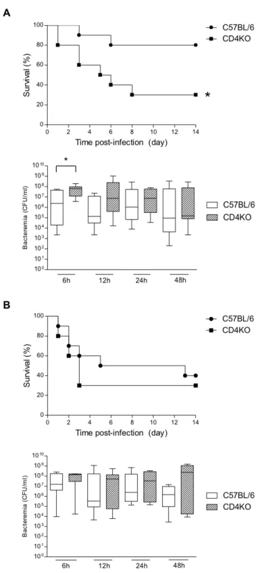 Figure 1.  CD4KO are more susceptible to S. suis infection than control C57BL/6 mice at a low infectious  dose