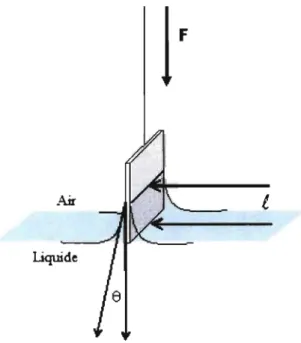 Figure 6 :  Schéma de la plaque de Wilhelmy à l'interface air-eau  (Encyclopédie Wikipédia, 2007) 