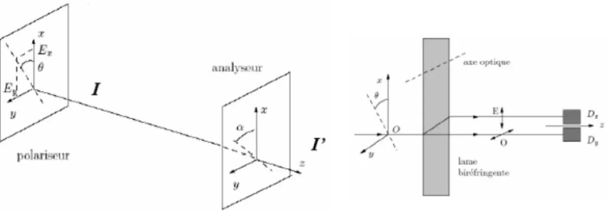 Fig. 2.1 – Description de la polarisation de la lumi`ere
