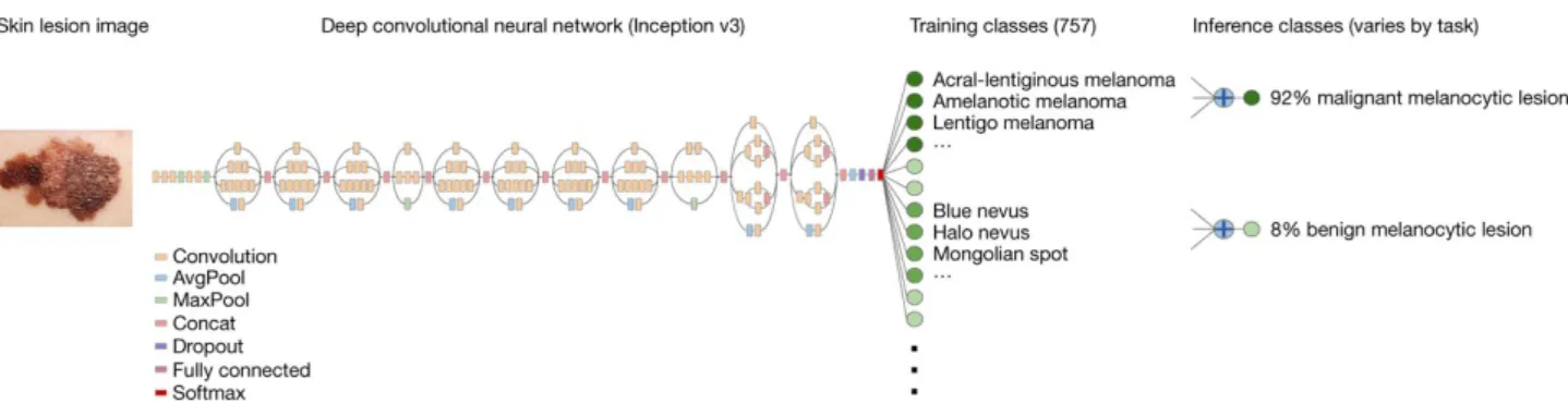 Figure 2.3: A deep convolutional neural networks models to diagnose skin cancer [26]