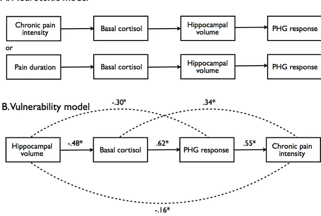 Figure 5: Two contrasting models (Figure 5) proposed to explain the interactions between  basal  cortisol  levels,  hippocampal  volumes,  pain  response  in  the  hippocampal  formation  (i.e