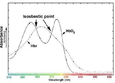 Figure  8.  Spectre  d’absorption  de  l’hémoglobine.  Spectre  d’absorption  de  l’hémoglobine  oxygénée (HbO) et réduite (HbR)