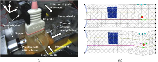 Figure 2.7 – Banc d’essais et simulation du guidage d’aiguilles par manipulation des tissus