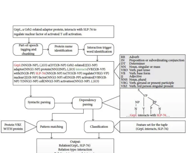 Figure 1.1: Méthodologies employées pour l’extraction de relations binaires dans le do- do-maine biomédical (Zhou et al., 2014).