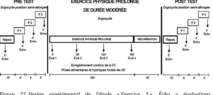 Figure  22. Design  expérimental  de  l’étude  « Exercice  3 ».  Écho  =  évaluations  échocardiographiques,  Éval  =  évaluation  des  adaptations  cardiovasculaires  à  P  =  palier  d’effort sous-maximal
