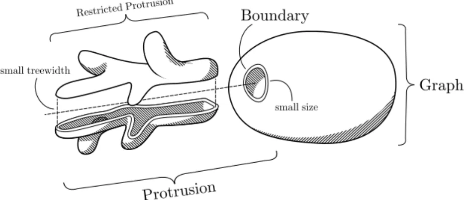 Figure 5.1: Basic anatomy of a protrusion.