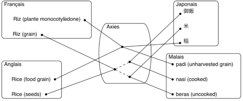 Figure 2. Utilisation d’un lien inter axies pour représenter les phénomènes contrastifs de l’équivalence lexicale.