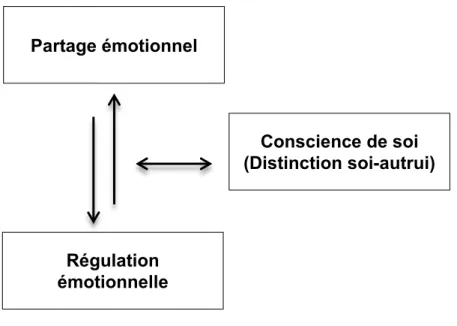 Figure 1. Composantes fondamentales impliquées dans l’empathie (adapté de Decety,  2005) 