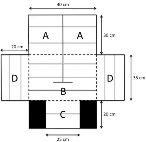 Fig. 1 Top view of the test apparatus. A = male compartment, B = choice compartment, C =  end compartment, and D = observation compartments
