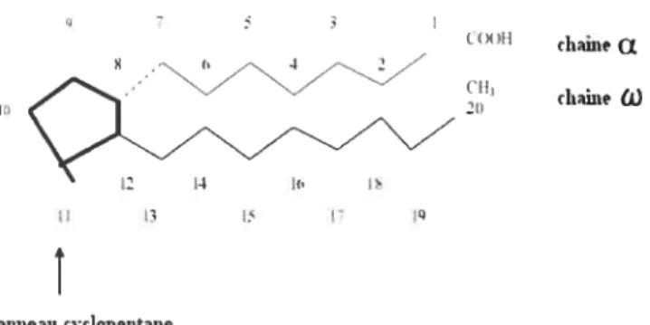 Figure 3. Structure chimique de l’acide prostanoïque. L’acide prostanoïque est la structure de base de toutes les prostaglandines