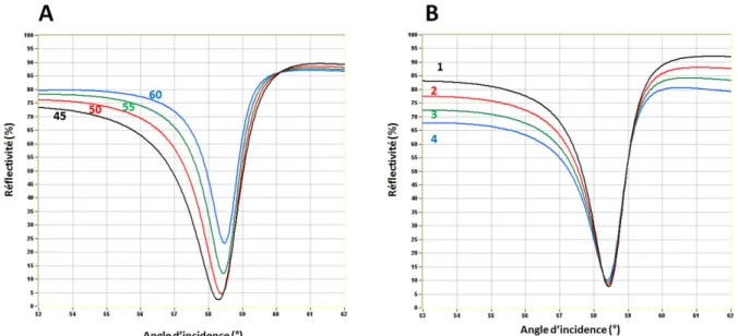 Figure 22 : Influence des épaisseurs du métal sur la réponse SPR d’une lame dorée. (A) Influence de l’épaisseur  de l’or indiquée sur le graphe en nm pour une épaisseur de chrome de 2 nm