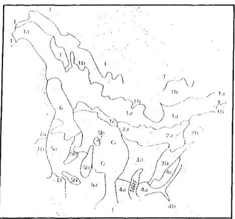 Figure 1-1 : Distribution des grandes forêts en Amérique du Nord. 15