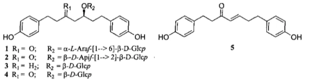 Figure 1-2 : Diarylheptanoïdes linéaires isolés dans l'écorce interne de bouleau blanc {Betula papyrifera)} 1