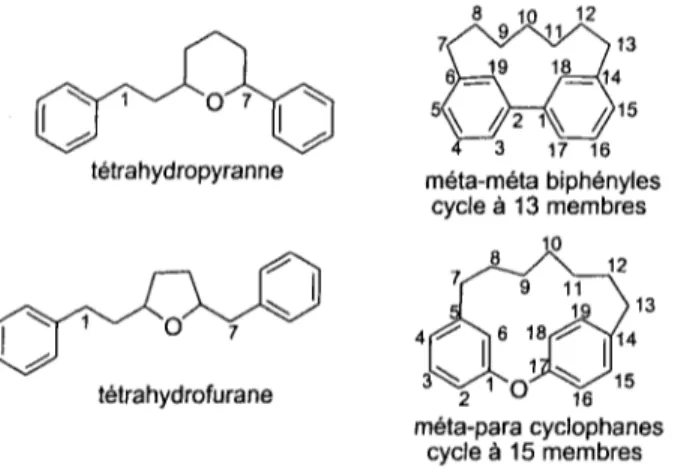 Figure 2-2 : Numérotation des carbones des quatre sous-catégories de diarylheptanoïdes cycliques.