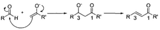 Figure 3-2 : Mécanisme général de la réaction aldolique et de la condensation.