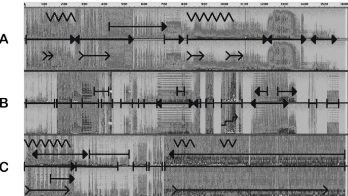 figure 3 : les fonctions et les sonagrammes des six pistes d’enregistrement (deux pistes par musicien)