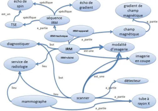 Figure 2.4 – Exemple de sous réseau lexical pour le terme IRM dans JeuxDeMots.