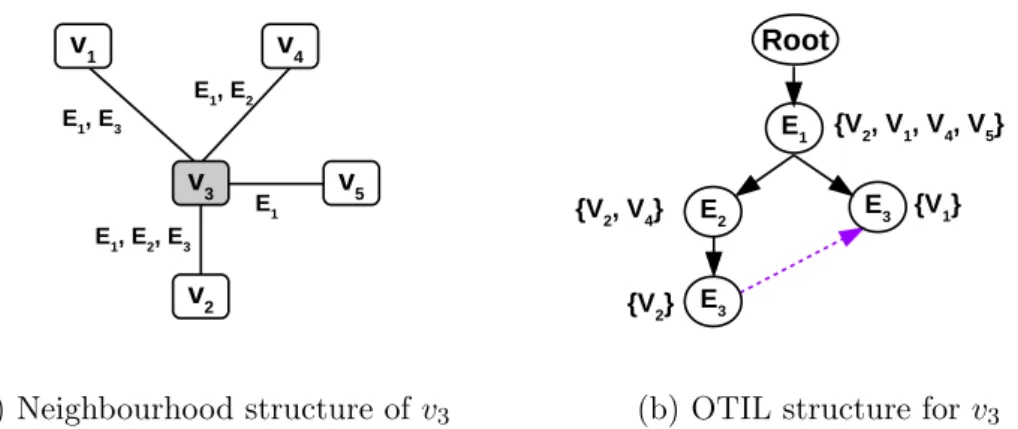 Figure 3.3: Building Neighbourhood Index for data vertex v 3