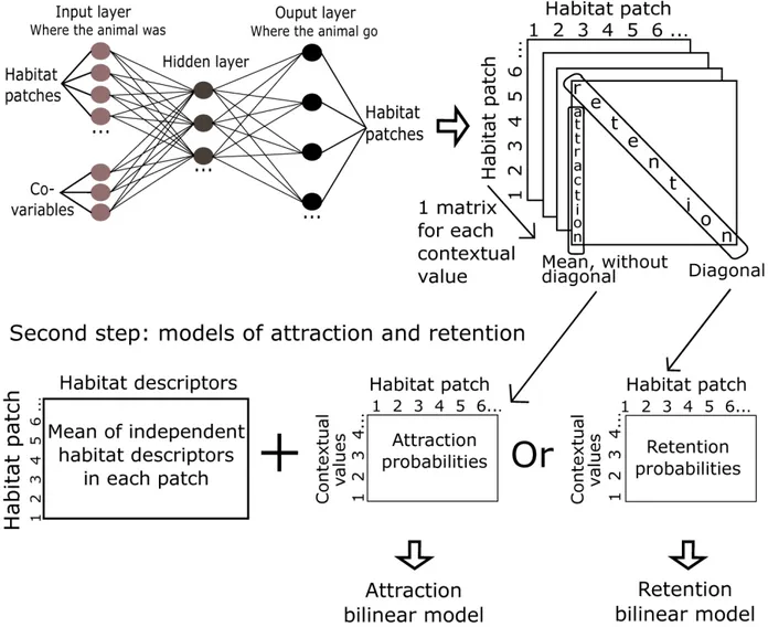 Figure  1  Two-step  analytical  framework  in  assessing  the  effect  of  the  contextual  variable  in  numerical habitat models for presence-only data