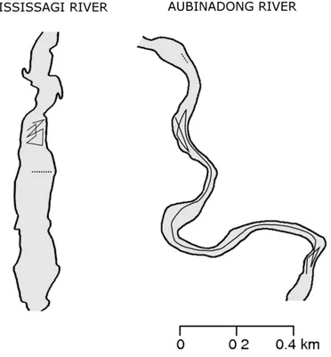 Figure  4  The  northern  pike  movement  patterns  in  the  Mississagi  River  and  the  Aubinadong  River