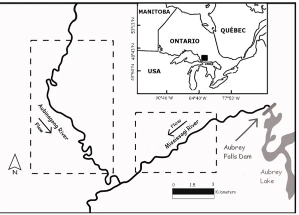 Figure 1 Map of the study rivers (the Mississagi and Aubinadong rivers; northeastern Ontario,  Canada)