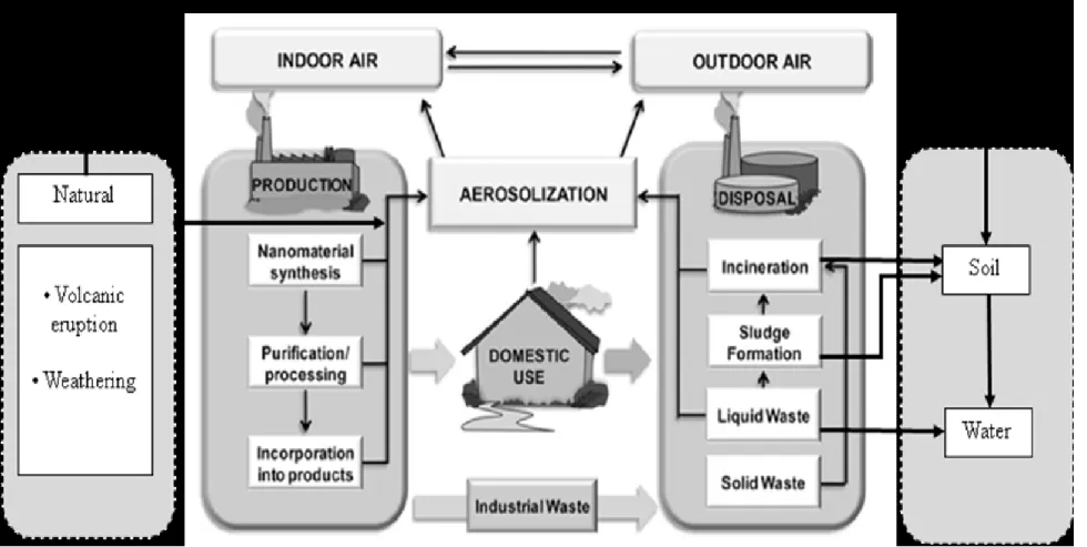 Figure 1.1. Schématisation du cycle de vie des nano-produits (modifié à partir de (Quadros and Marr, 2010))