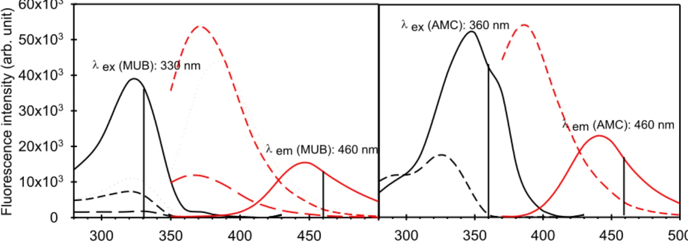 Figure S1. Excitation (black) and emission (red) spectra of the fluorogenic molecules  MUB  (left)  and  AMC  (right)  in  Na-acetate  (10 mM,  pH  6)