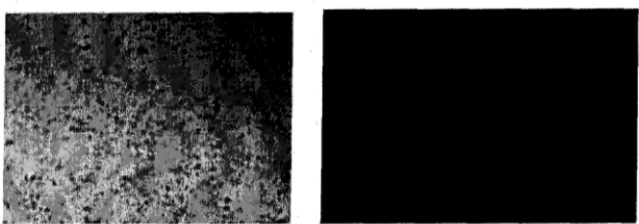 Figure 5.4. Images obtained through optical microscopy of mirror-polished Al surface (left), and Al sample coated with stearic acid (right), at a magnification of x 100.