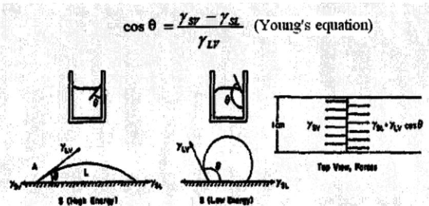 Figure 2.5. Liquid droplet on a surface, its surface energies, CA and force diagrams [54].