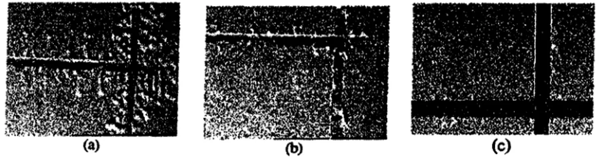 Figure 3.4. Results of filiform corrosion tests performed on trivalent chromium (pre-treated) and KMnC&gt;4 post-oxidized Al samples without drying (a), with drying (b), and chromated samples (c).