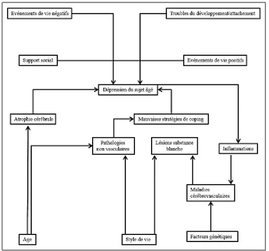 Figure 4: Les facteurs de la dépression du sujet âgé (Van den Berg et al., 2001). 