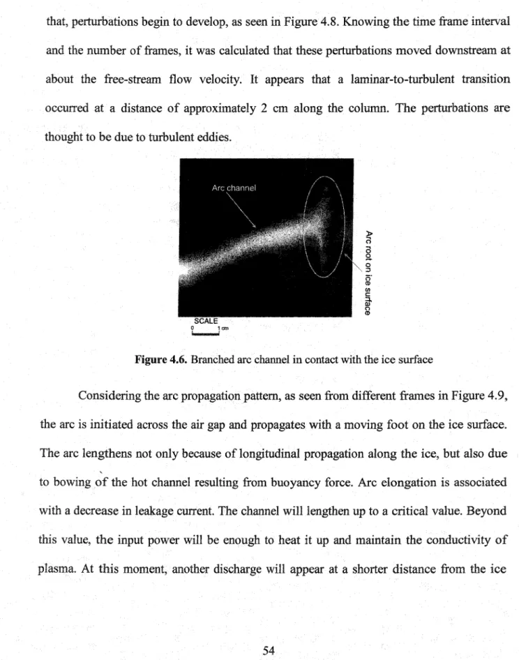 Figure 4.6. Branched arc channel in contact with the ice surface