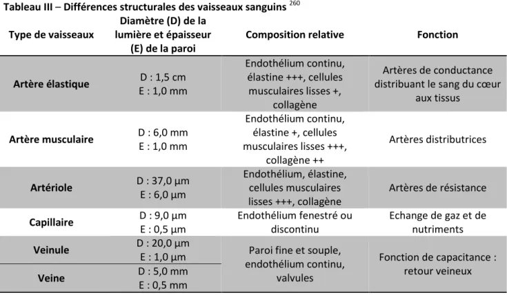 Tableau III  –  Différences structurales des vaisseaux sanguins  260 Type de vaisseaux 