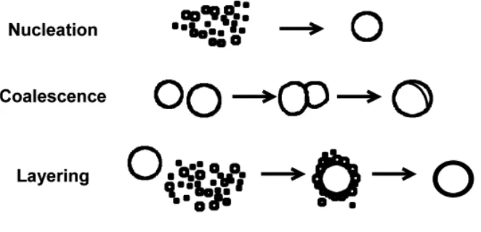 Fig. I.13: Schematic representation of the mechanisms of nucleation, coalescence and  layering (adapted from Sastry et al., 2003) 