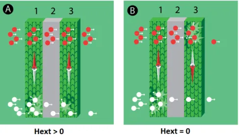 Figure 2.3: Giant magnetoresistance effect [6]