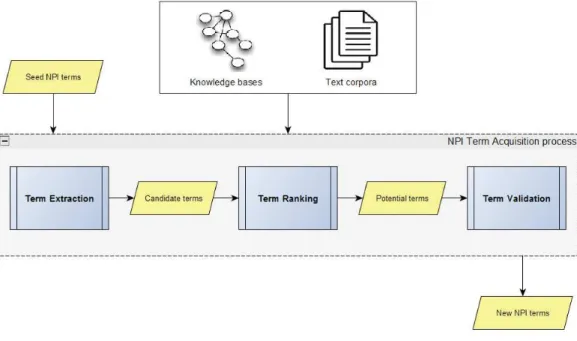 Figure 3.1 – NPI term acquisition process