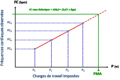 Figure 8 : Extrapolation de la PMA à partir d’un test sous‐maximal sur ergocycle selon ACSM (2009). 