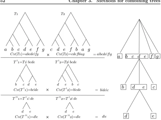 Figure 3.8: Example of Adams consensus tree (Section 3.2.2.1) for a forest comprised of two trees T 1 and T 2 - The computation of the Adams consensus tree for this forest requires 3 recursive steps.
