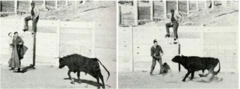 Figure 1.2  Images d'archive montrant José Delgado lors de sa démons- démons-tration dans une arène à Cordoue (1963)