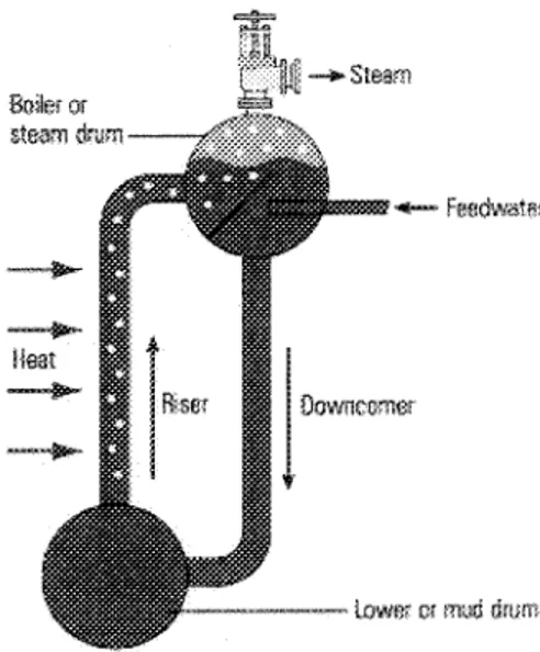 Figure 2.4 : Échange et circulation dans un générateur de type à tube d'eau [2j