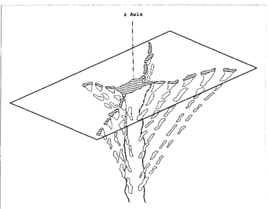 Figure 5: Schématisation de la structure d'un tube de drainage vertical à l'intérieur d'une glace de mer de première année (tirée de [28])