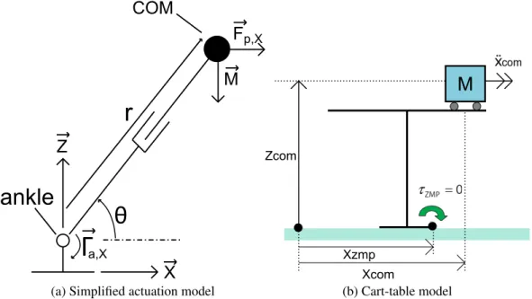Figure 3.1 Simplified actuation model in sagittal plane at left and cart-table model at right By convention, the − →x axis is along the direction in front of the robot and the − →y axis is the direction lateral to the robot